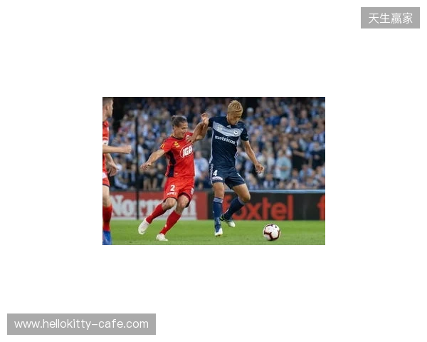 4名澳超球员入选澳大利亚3月大名单,墨尔本城占两席 4名澳超球员入选澳大利亚3月大名单,墨尔本城占两席